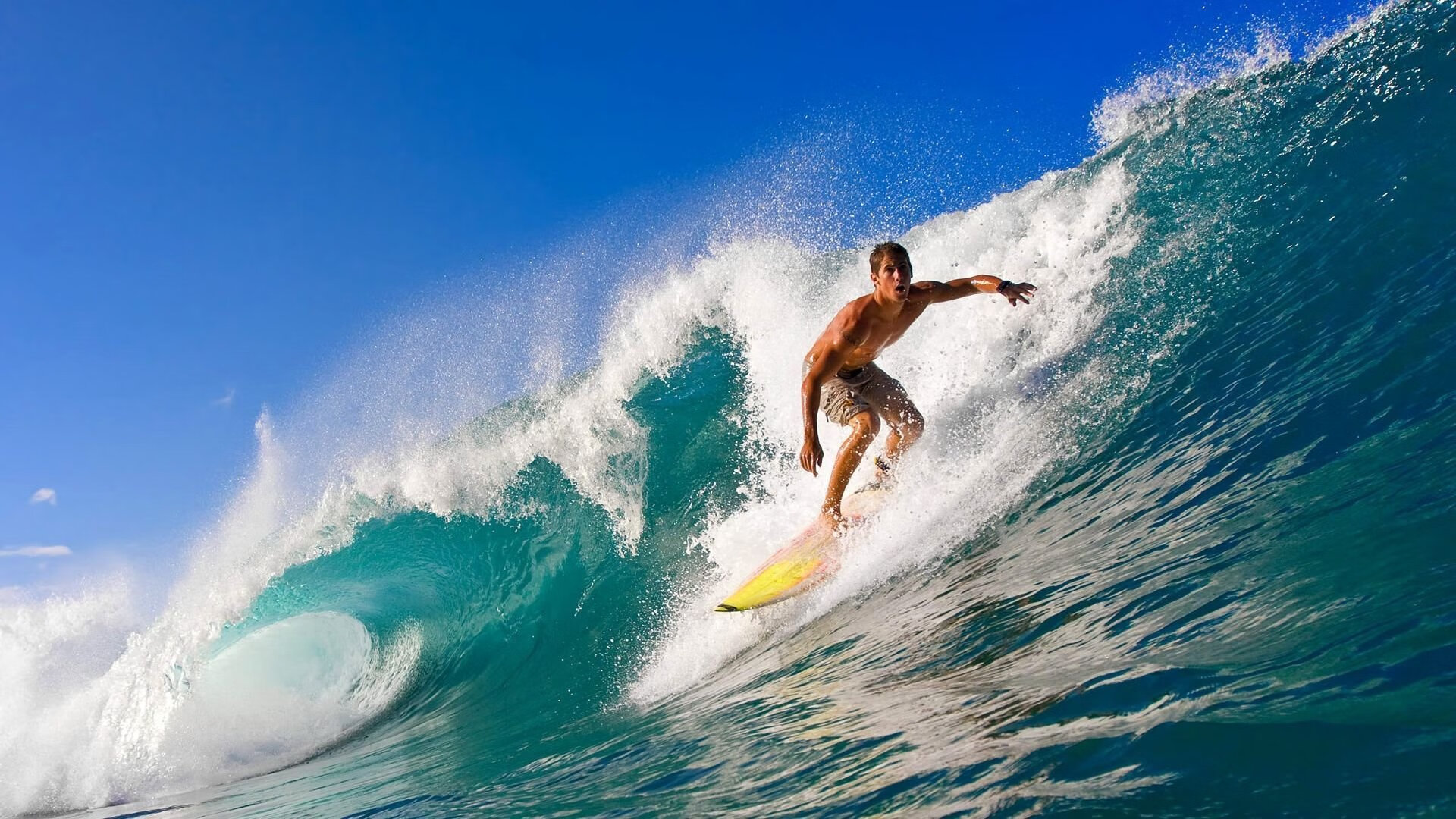 跃马高歌蒙扎，塞恩斯，扛起红色旗帜的孤勇者