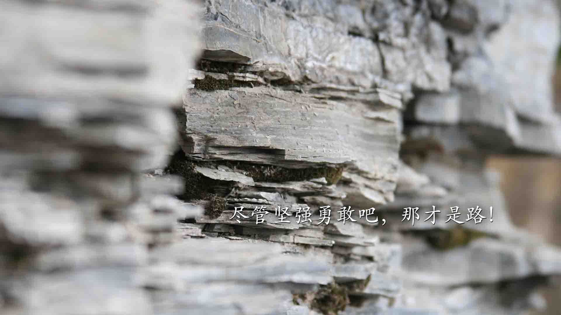 绿茵与硬木,跨越赛场的精神共振