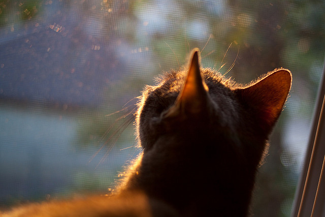 当奇才用进攻风暴席卷NBA时,那个叫爱德华兹的男人在欧冠半决赛完成了终极接管
