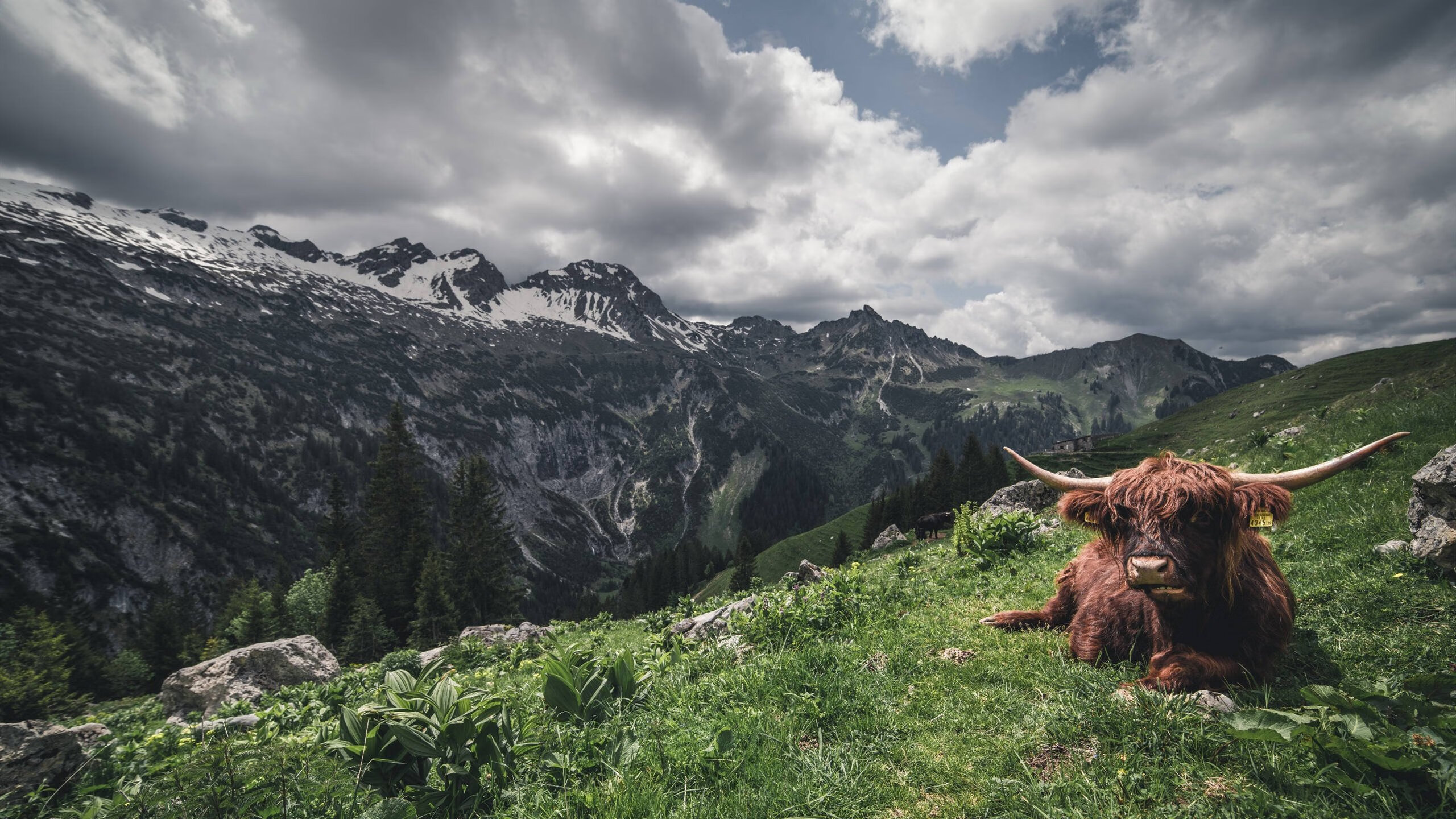 跨联盟奇迹,深圳队战术压制奇才,杜兰特封神之夜无可争议