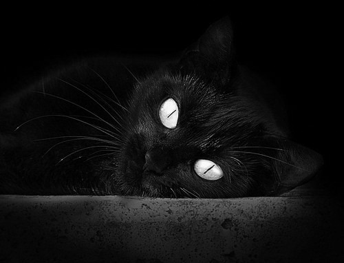 当戈贝尔化身得分狂魔，一场颠覆预期的非典型性统治