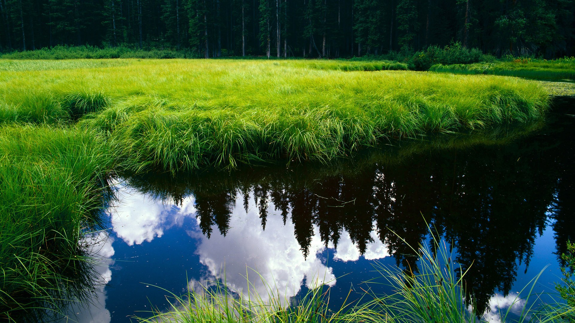 绿茵交响,马丁内利攻防两端如指挥家,哥伦比亚鏖战险胜塞内加尔