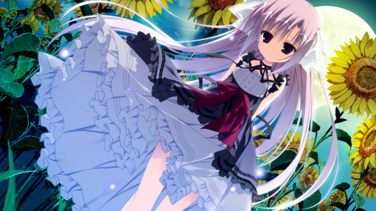 伊布诅咒，当更衣室阴影吞噬法兰西，哥斯达黎加在暗处写下史诗