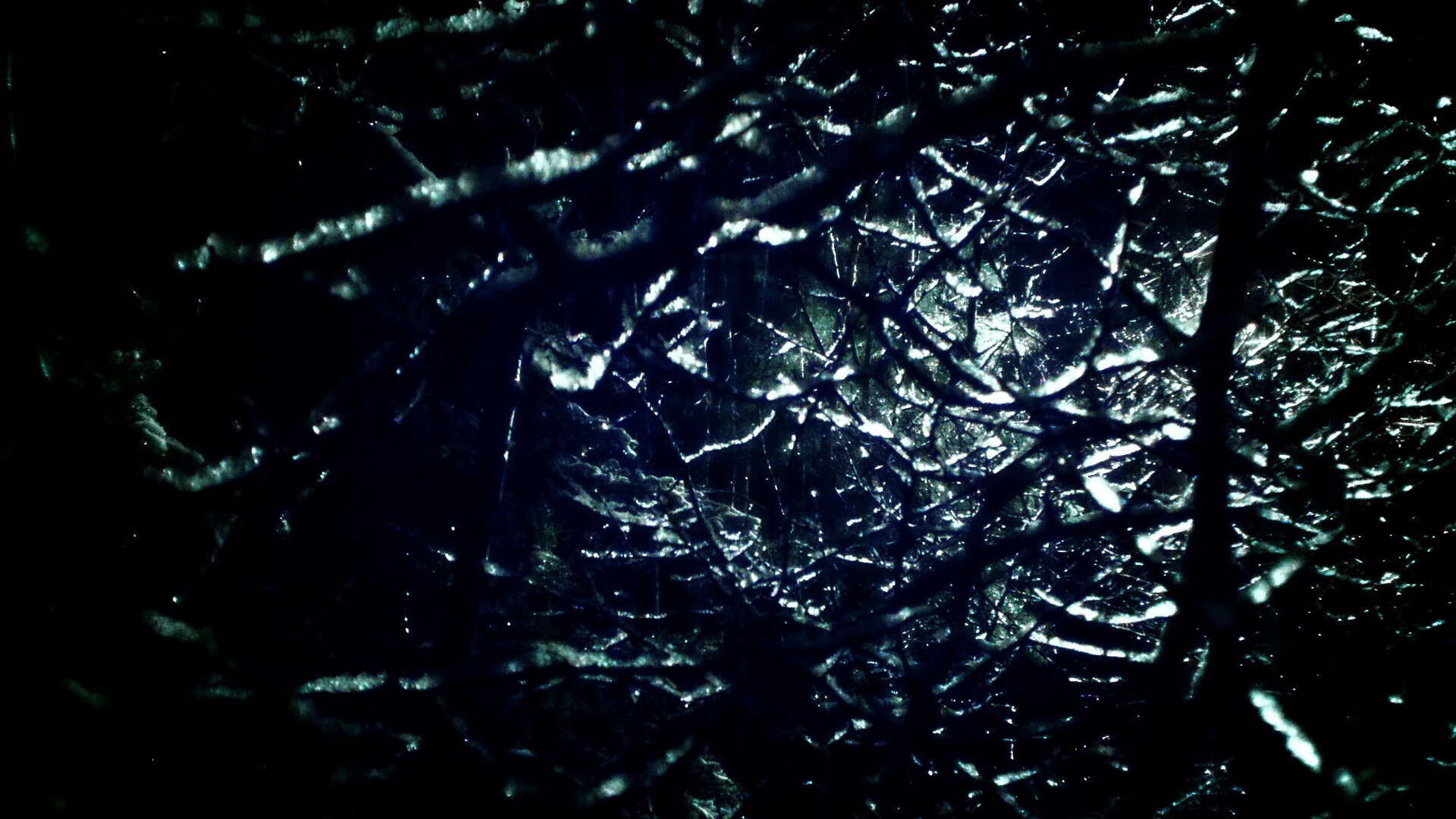 冰山之下，当福克斯的个人英雄主义遇见浙江队的体系碾压