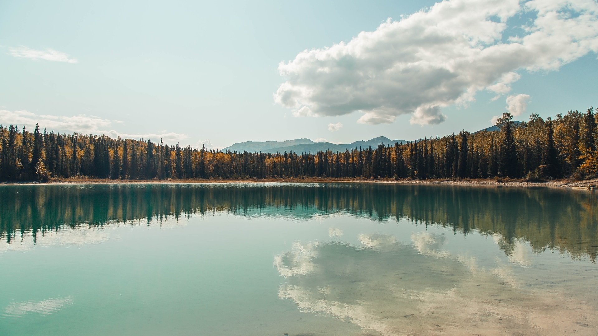 平行时空的交汇点,当广东队一波带走猛龙,锡安在欧冠决赛接管比赛