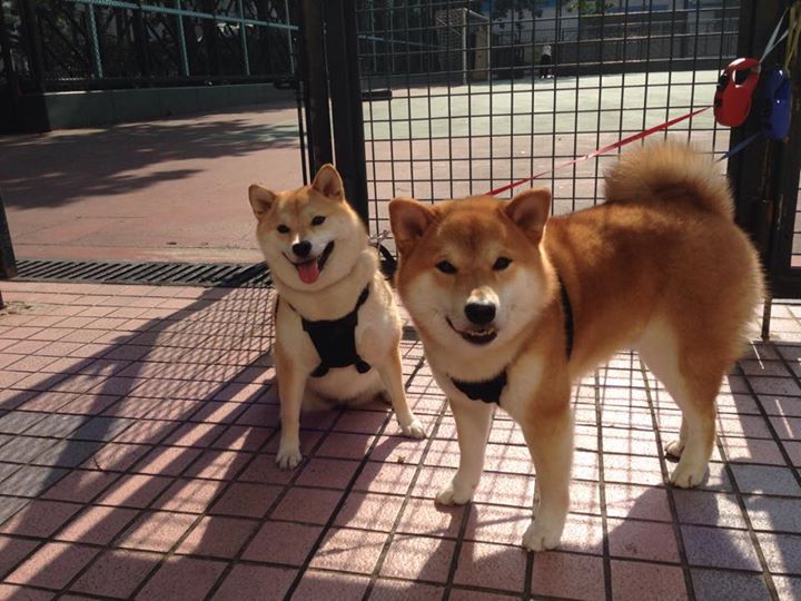 当国王伦纳德君临浙江，一次跨越大洋的篮球加冕礼