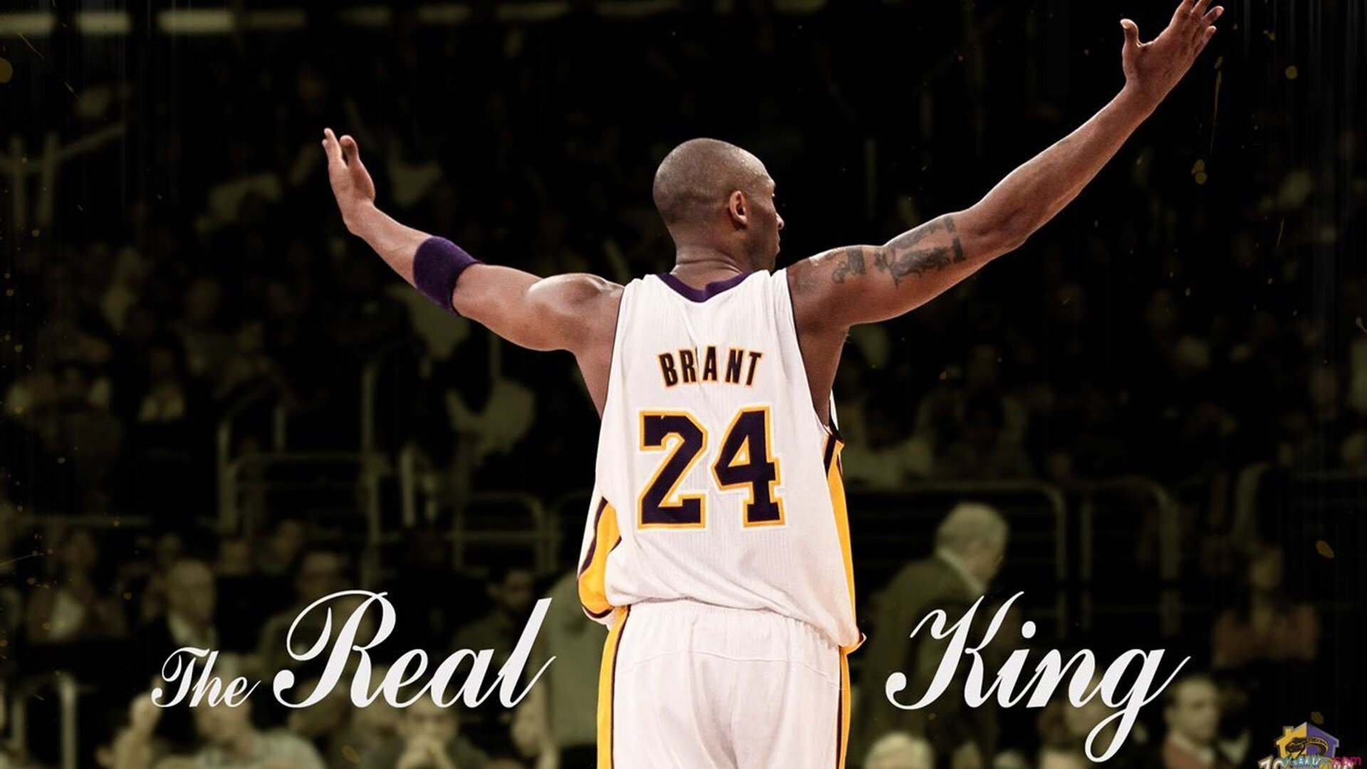 从密尔沃基围城到圣城突围，那一夜米切尔如何改写雄鹿的宿命