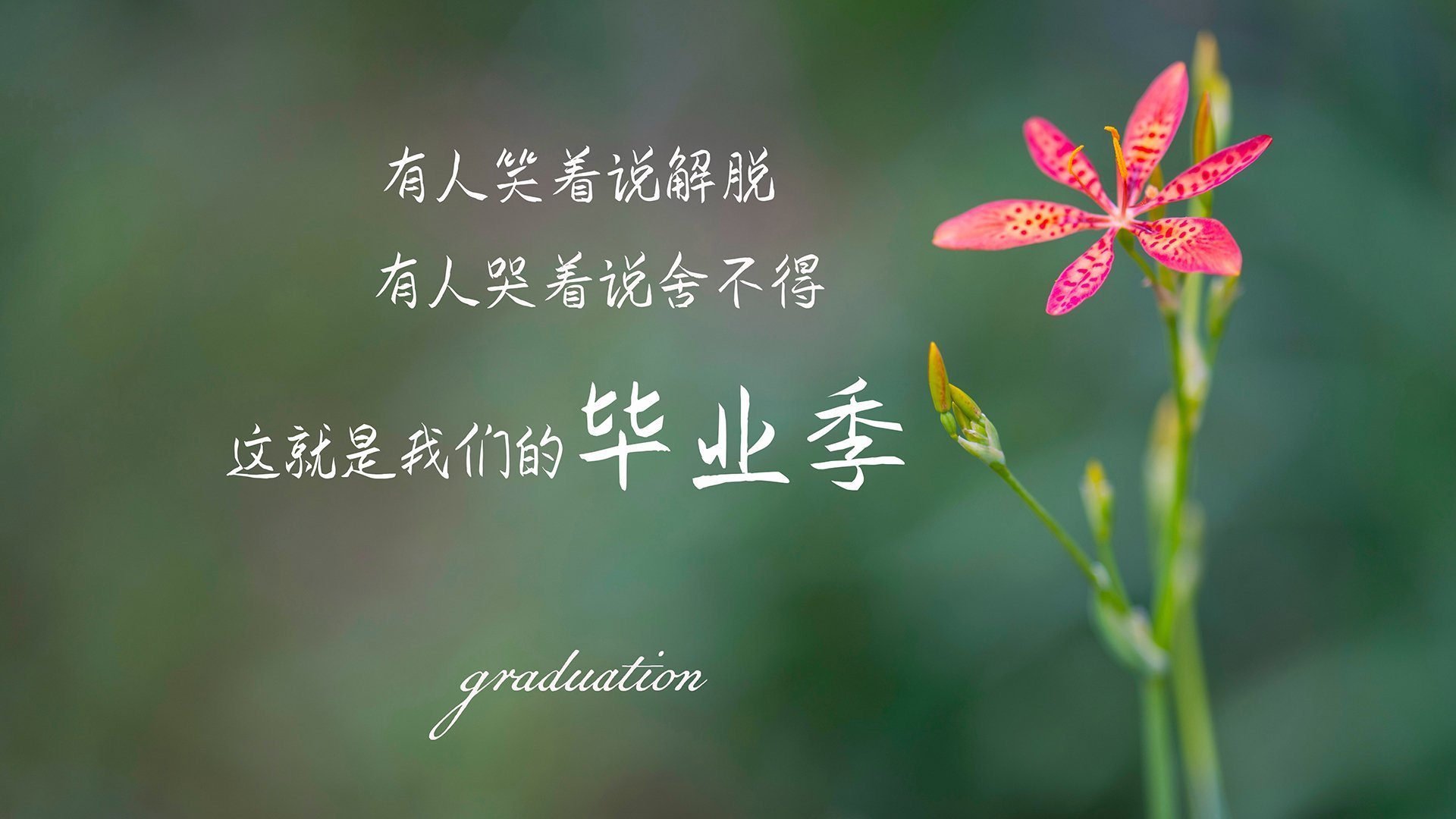 跨洋之战，班凯罗独舞洛杉矶，快船鏖战广厦成就经典