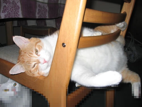 2026沙漠风暴,马丁内利跨越金字塔与城堡的独舞