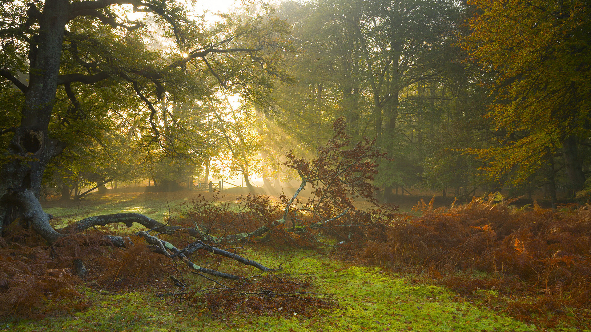 当纽约遇见上海，一场跨越时空的篮球生死战