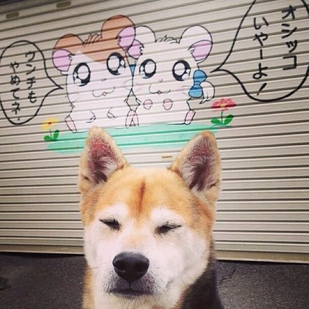 绿茵焰火，日本一波带走卡塔尔，穆勒孤星点亮亚洲夜空